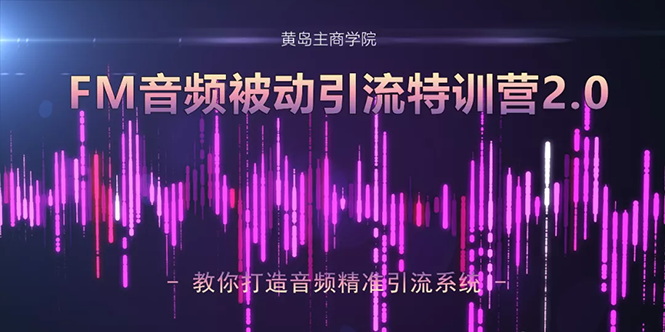黄岛主·FM音频引流特训营2.0：独家引流模式，单账号50W+播放量，轻松变现-优才资源站