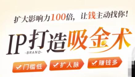 IP打造吸金术：0基础0资源，也能扩大影响力100倍，让钱主动找你！-优才资源站