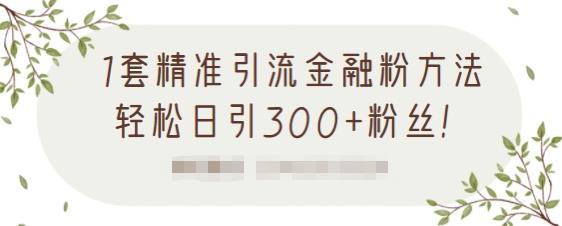1套精准引流金融粉方法，轻松日引300+粉丝-优才资源站