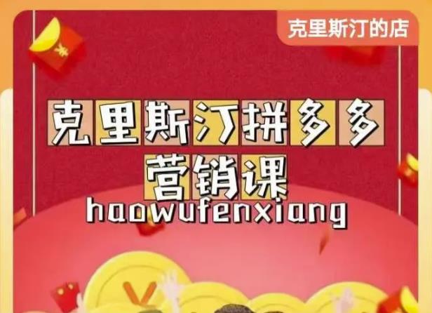克里斯汀拼多多运营课，适合小白初涉平台，低成本入门-优才资源站