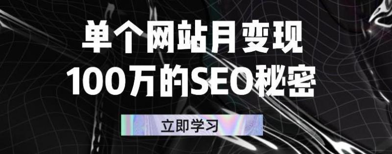 单个网站月变现100万的SEO秘密，百分百做出赚钱站点-优才资源站
