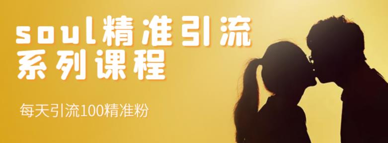 soul精准引流系列课程，每天引流100精准粉-优才资源站