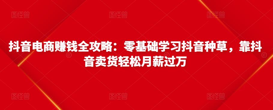 抖音电商赚钱全攻略：零基础学习抖音种草，靠抖音卖货轻松月薪过万-优才资源站