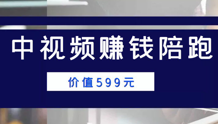 中视频赚钱陪跑，卖中视频账户赚钱收益陪跑项目（价值599元）-优才资源站