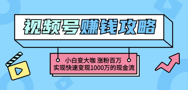 玩转微信视频号赚钱：小白变大咖涨粉百万实现快速变现1000万的现金流-优才资源站