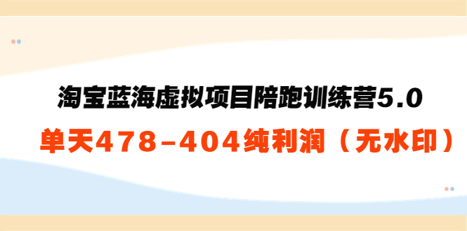 淘宝蓝海虚拟项目陪跑训练营5.0：单天478纯利润-优才资源站