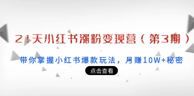 21天小红书涨粉变现营（第3期）：带你掌握小红书爆款玩法，月赚10W+秘密-优才资源站