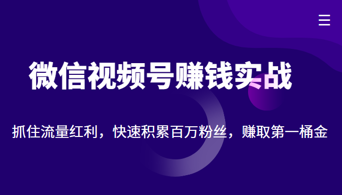 微信视频号赚钱实战：抓住流量红利，快速积累百万粉丝，赚取你的第一桶金-优才资源站