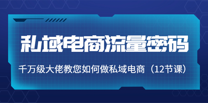 私域电商流量密码：千万级大佬教您如何做私域电商（12节课）-优才资源站
