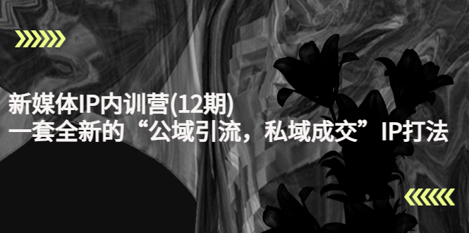 新媒体IP内训营(12期)，一套全新的“公域引流，私域成交”IP打法，直接带走-优才资源站