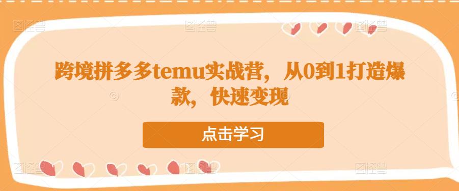 跨境拼多多temu实战营，从0到1打造爆款，快速变现-优才资源站