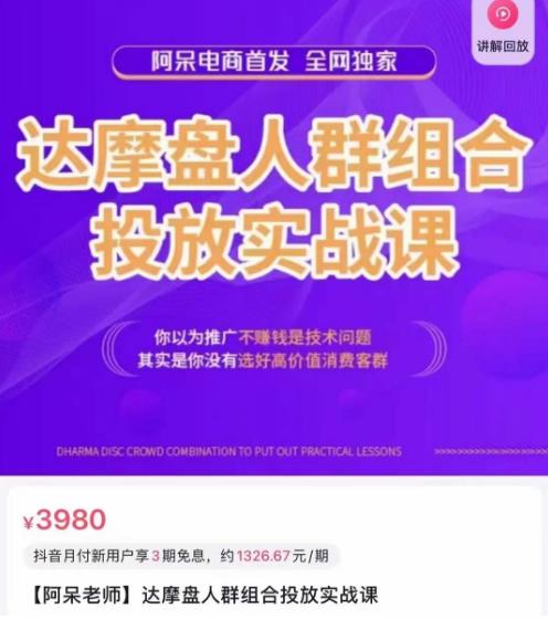 阿呆电商·达摩盘人群组合投放实战课，你以为推广不赚钱是技术问题，其实是你没有选好高价值消费客群-优才资源站