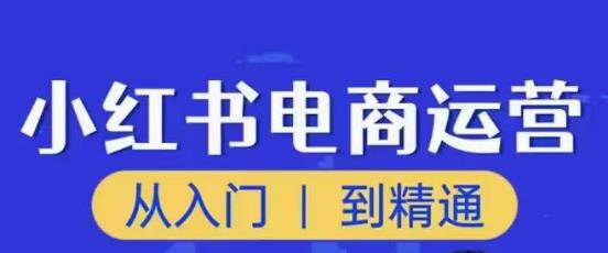 顽石小红书电商高阶运营课程，从入门到精通，玩法流程持续更新-优才资源站