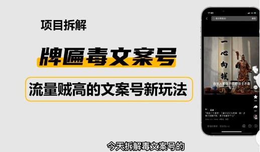 2023抖音快手毒文案新玩法，牌匾文案号，起号快易变现-优才资源站