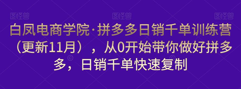 白凤电商学院·拼多多日销千单训练营，从0开始带你做好拼多多，日销千单快速复制（更新知2023年3月）-优才资源站