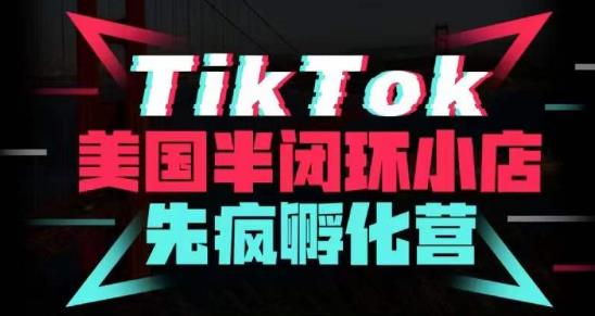 疯人院·TikTok美国半闭环小店孵化营，抢占TikTok美国蓝海市场，开店、运营、带货、投流全实操-优才资源站
