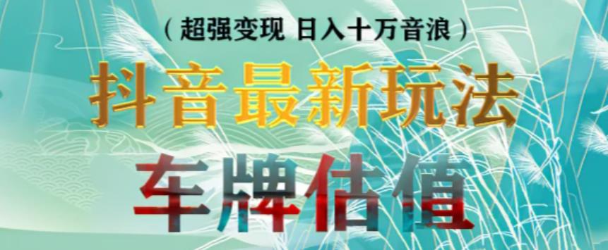 抖音最新无人直播变现直播车牌估值玩法项目，轻松日赚几百+【详细玩法教程】-优才资源站