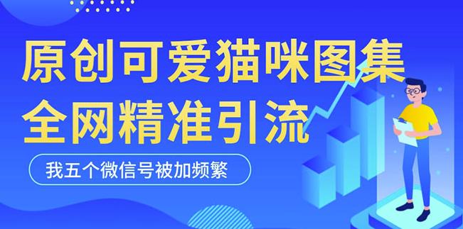 黑科技纯原创可爱猫咪图片，全网精准引流，实操5个VX号被加频繁-优才资源站