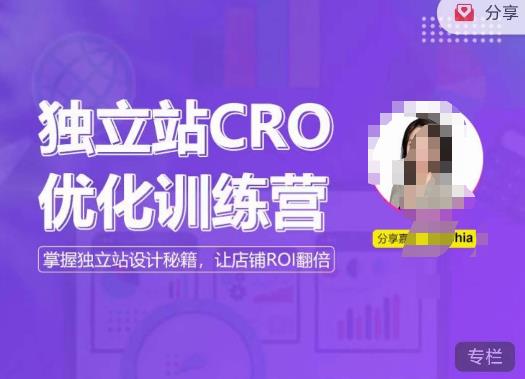 独立站CRO优化训练营，掌握独立站设计秘籍，打造高转化的独立站，让店铺ROI翻倍-优才资源站