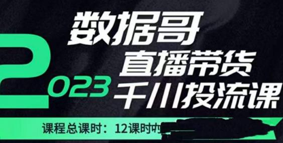 数据哥2023直播电商巨量千川付费投流实操课，快速掌握直播带货运营投放策略-优才资源站
