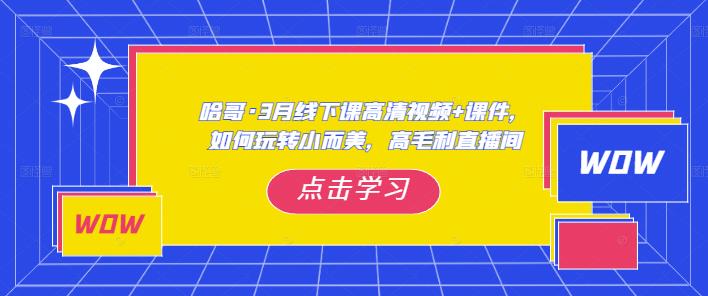 哈哥·3月线下实操课高清视频+课件，如何玩转小而美，高毛利直播间-优才资源站