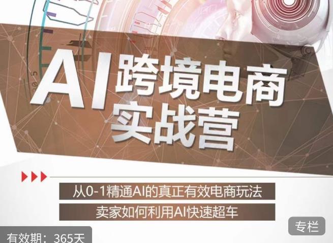 白龙老师·AI跨境电商实战营：从0-1精通Al的真正有效电商玩法，卖家如何利用Al快速超车-优才资源站