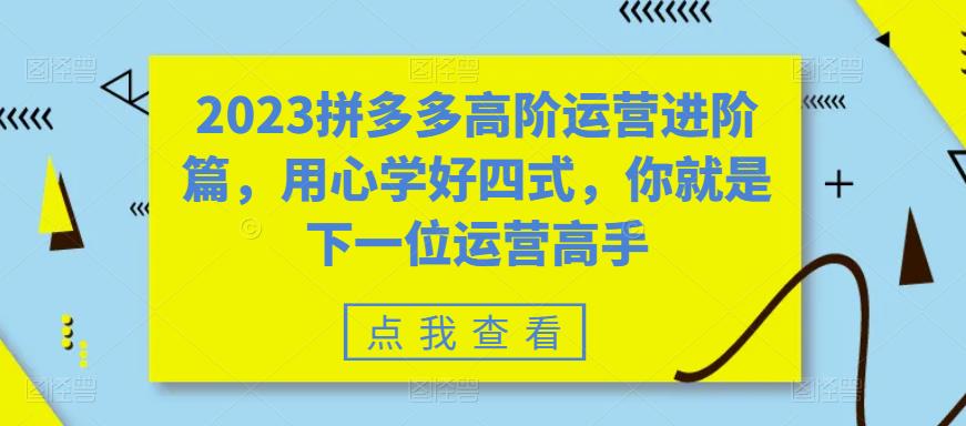 2023拼多多高阶运营进阶篇，用心学好四式，你就是下一位运营高手-优才资源站
