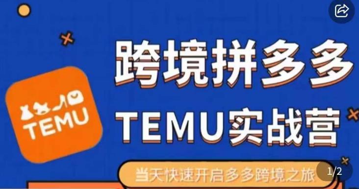 大鹏出海·拼多多跨境temu运营指导，开店注册+选品+核价上架，日出千单实战课-优才资源站