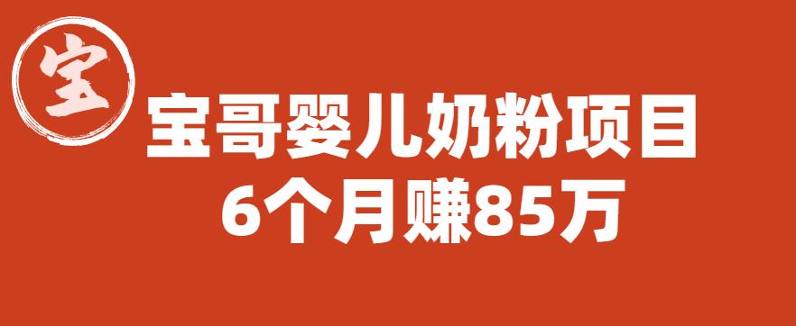 宝哥婴儿奶粉项目，6个月赚85w【图文非视频】【揭秘】-优才资源站