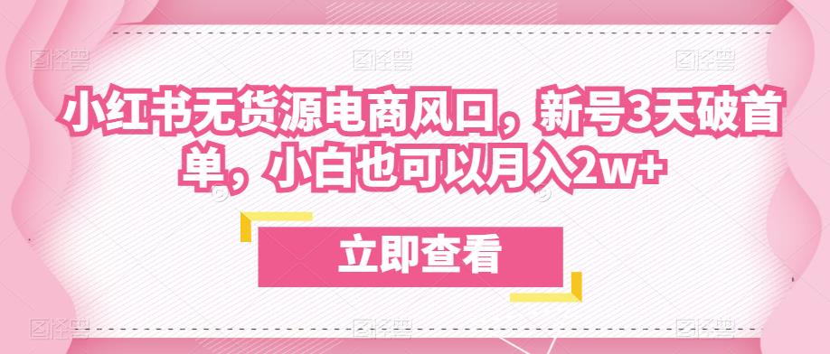 众狼电商余文小红书无货源电商风口，新号3天破首单，小白也可以月入2w+-优才资源站