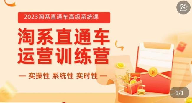 冠东·2023淘系直通车高级系统课，​实操性，系统性，实时性，直通车完整体系教学-优才资源站