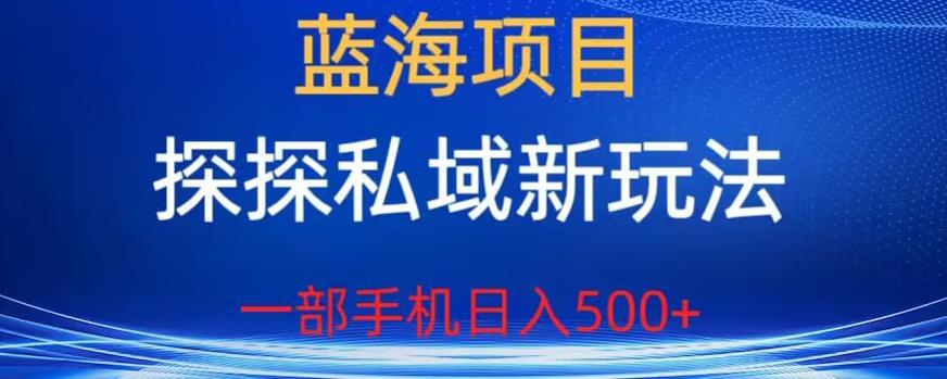 蓝海项目，探探私域新玩法，一部手机日入500+很轻松【揭秘】-优才资源站