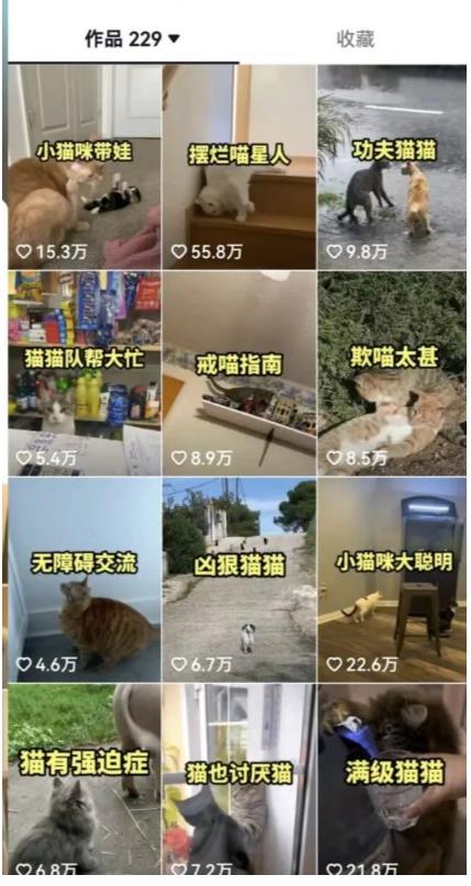 拆解：抖音盘点类中视频变现副业项目，视频版一条龙大解析分享给你-优才资源站