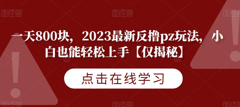 一天800块，2023最新反撸pz玩法，小白也能轻松上手【仅揭秘】-优才资源站