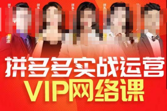 推易拼多多VIP全套直播课程，拼多多店铺实操玩法+实战玩法选款内功+直通车高阶等-优才资源站