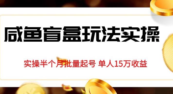 独家首发咸鱼盲盒玩法实操，半个月批量起号单人15万收益【揭秘】-优才资源站