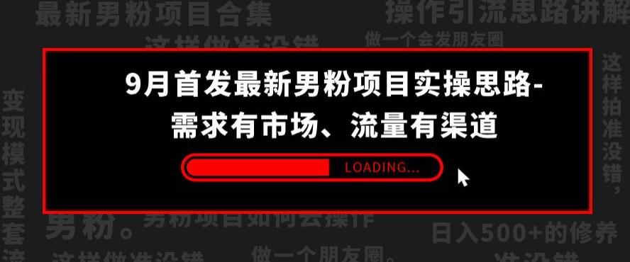 9月首发最新男粉项目实操思路-需求有市场，流量有渠道【揭秘】-优才资源站