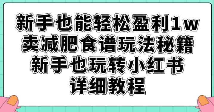 新手也能轻松盈利1w，卖减肥食谱玩法秘籍，新手也玩转小红书详细教程【揭秘】-优才资源站
