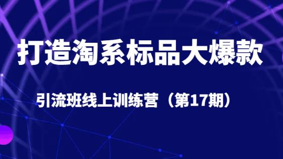 打造淘系标品大爆款引流班线上训练营（第17期）5天直播授课-优才资源站