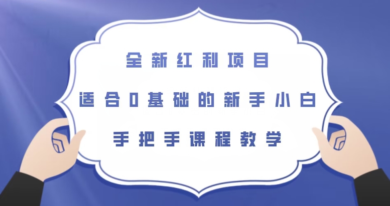 全新红利项目，适合0基础的新手小白，手把手课程教学【揭秘】-优才资源站