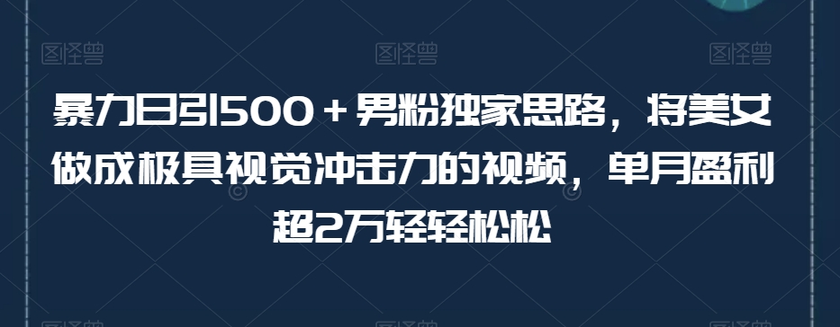 暴力日引500＋男粉独家思路，将美女做成极具视觉冲击力的视频，单月盈利超2万轻轻松松-优才资源站