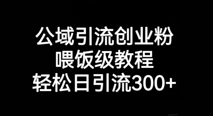 公域引流创业粉，喂饭级教程，轻松日引流300+【揭秘】-优才资源站
