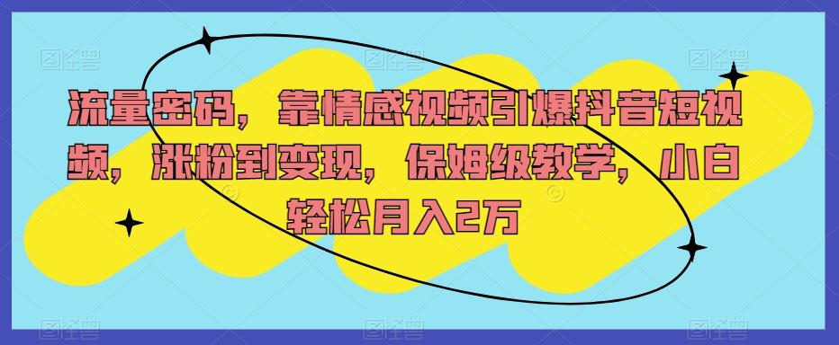 流量密码，靠情感视频引爆抖音短视频，涨粉到变现，保姆级教学，小白轻松月入2万【揭秘】-优才资源站