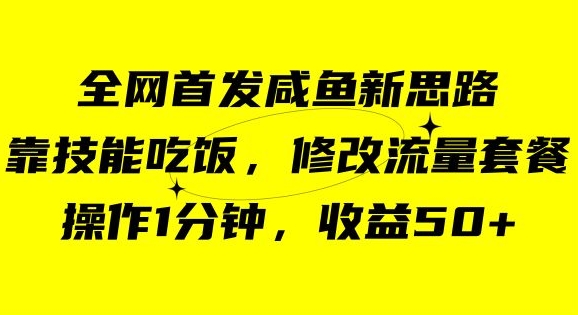 咸鱼冷门新玩法，靠“技能吃饭”，修改流量套餐，操作1分钟，收益50【揭秘】-优才资源站