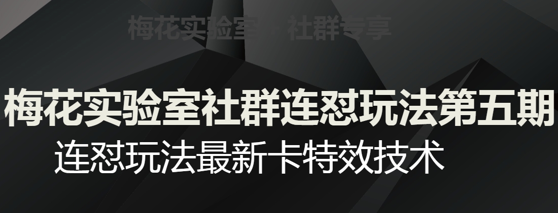 梅花实验室社群连怼玩法第五期，视频号连怼玩法最新卡特效技术-优才资源站