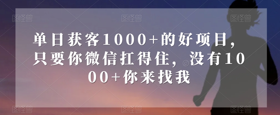 单日获客1000+的好项目，只要你微信扛得住，没有1000+你来找我【揭秘】-优才资源站