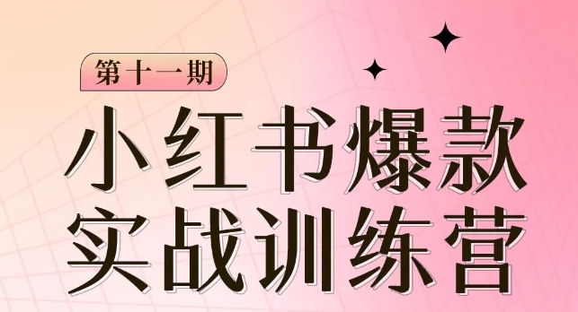 小红书博主爆款训练营第11期，手把手教你从0-1做小红书，从定位到起号到变现-优才资源站