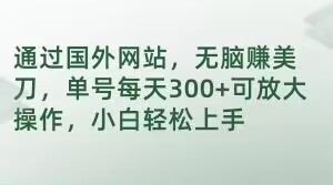 通过国外网站，无脑赚美刀，单号每天300+可放大操作，小白轻松上手【揭秘】-优才资源站