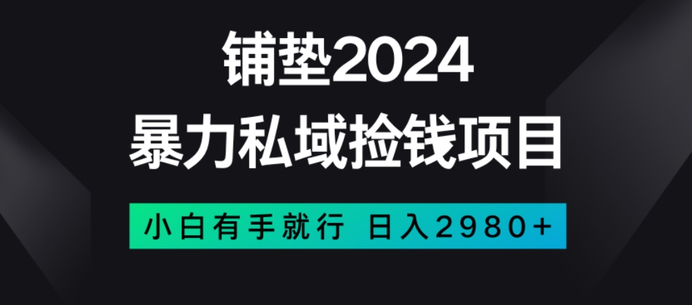 暴力私域捡钱项目，小白无脑操作，日入2980【揭秘】-优才资源站