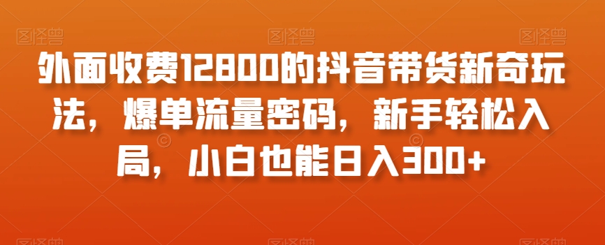 外面收费12800的抖音带货新奇玩法，爆单流量密码，新手轻松入局，小白也能日入300+【揭秘】-优才资源站
